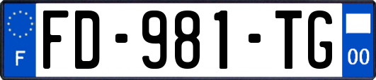 FD-981-TG