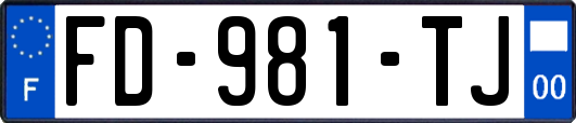 FD-981-TJ