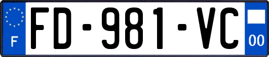 FD-981-VC