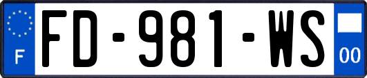FD-981-WS