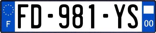 FD-981-YS
