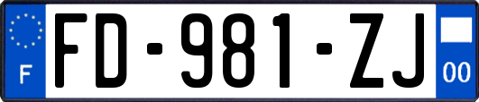 FD-981-ZJ