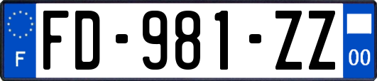 FD-981-ZZ