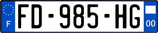 FD-985-HG