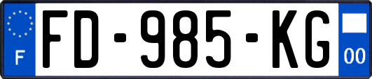 FD-985-KG