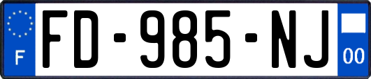 FD-985-NJ