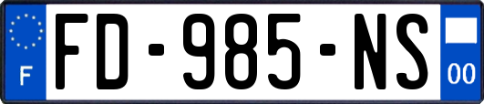 FD-985-NS