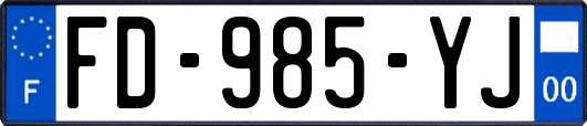 FD-985-YJ