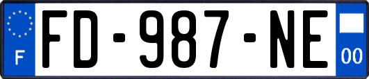 FD-987-NE