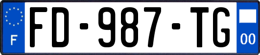 FD-987-TG