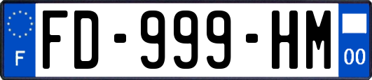 FD-999-HM