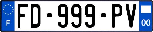 FD-999-PV