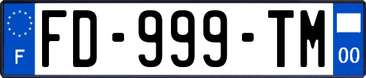 FD-999-TM