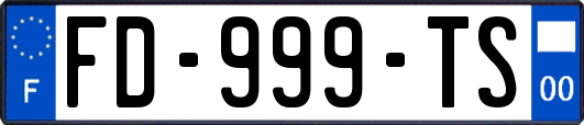 FD-999-TS