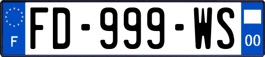FD-999-WS