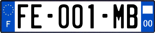 FE-001-MB