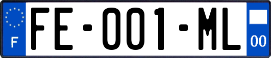 FE-001-ML