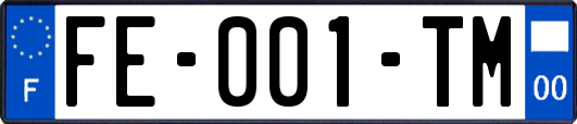 FE-001-TM