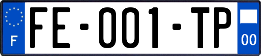 FE-001-TP