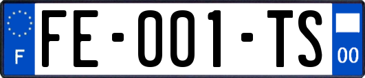 FE-001-TS