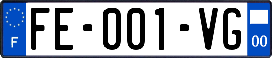 FE-001-VG