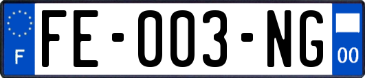 FE-003-NG