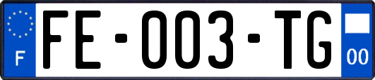 FE-003-TG