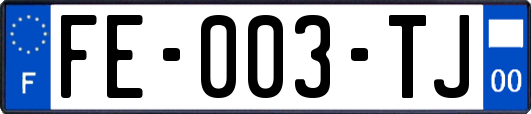 FE-003-TJ