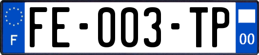 FE-003-TP