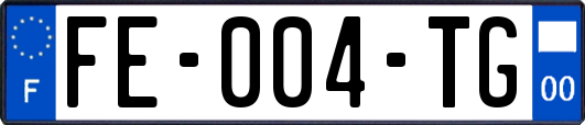 FE-004-TG