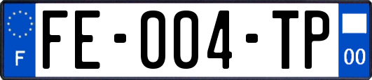 FE-004-TP
