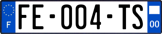 FE-004-TS