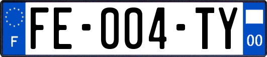 FE-004-TY