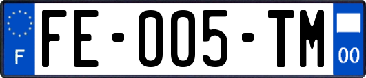 FE-005-TM