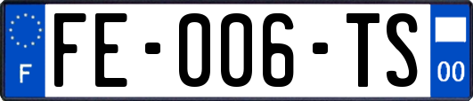 FE-006-TS