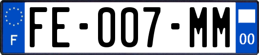 FE-007-MM