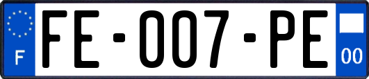FE-007-PE