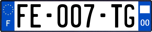 FE-007-TG