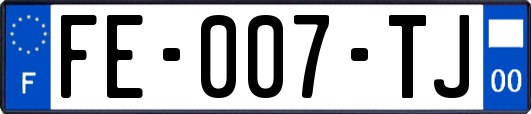 FE-007-TJ