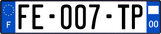 FE-007-TP