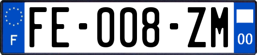 FE-008-ZM