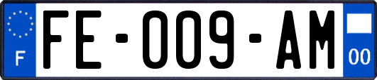 FE-009-AM