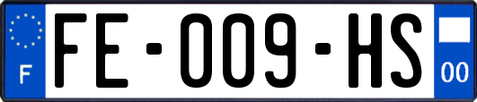 FE-009-HS