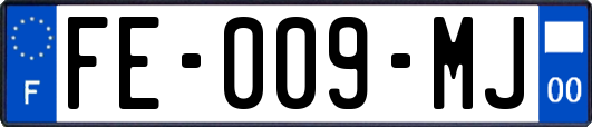 FE-009-MJ