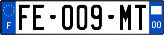 FE-009-MT