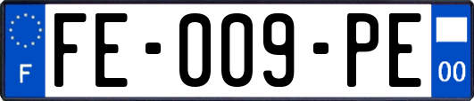 FE-009-PE