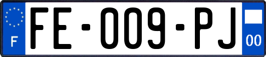 FE-009-PJ