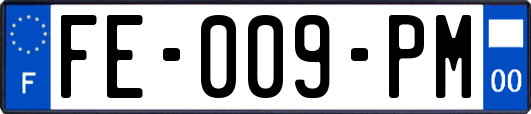 FE-009-PM