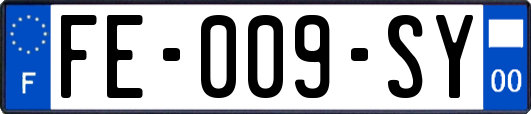 FE-009-SY