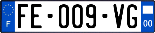 FE-009-VG